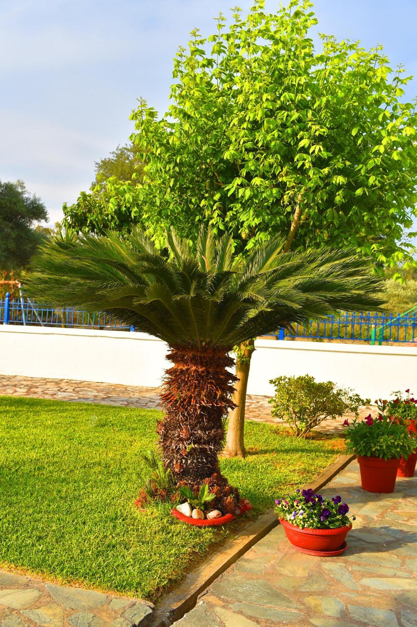 Villa Elpida Kanali  Exterior foto